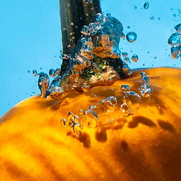Floating Pumpkin Patch