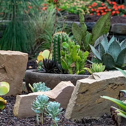 On the Rocks: A Scree & Crevice Garden Tour