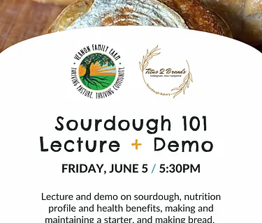 Sourdough 101: Lecture + Demo