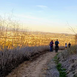 10,000 Steps Hikes