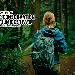 ACFF Selected Shorts