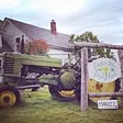 Pumpkin Vine Family Farm