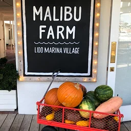 Halloween Pumpkin Carving at Malibu Farm