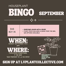 LV Plant Collective: Houseplant Bingo