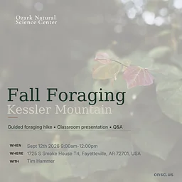 From Forest to Table: Fall Foraging Basics
