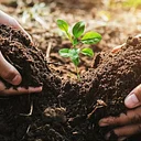 Digging Into Soil