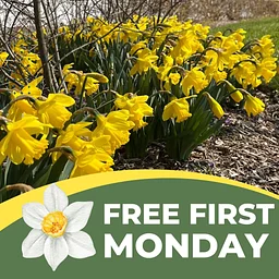 Free First Monday
