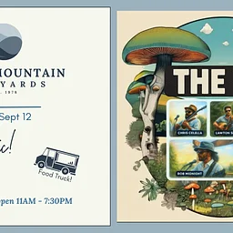 Live Music: The Zip