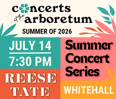 Summer Concert Series – Acoustic Night: Reese Tate
