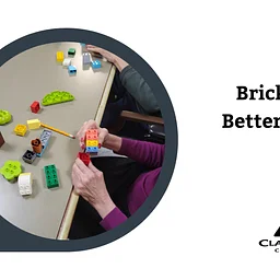 Bricks for Better Brains©