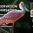 Conservation Conversation: Avian Adventures