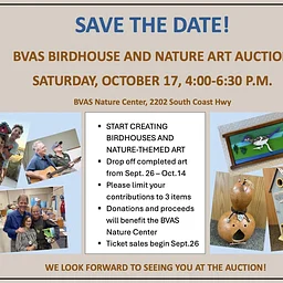 BVAS Birdhouse and Nature Art Auction