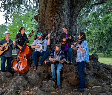 Jazz’n the Vines Featuring The Tanglers