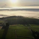 Domaine Drouhin Oregon