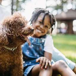 Yappy Hour: Play Smart: Happy Dogs & Confident Owners