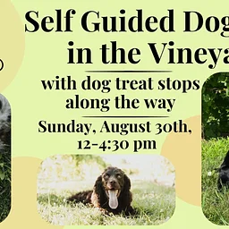 Self Guided Dog Walk in the Vineyard