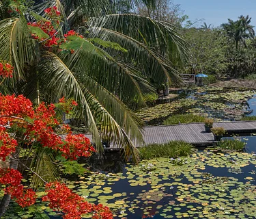 Naples Botanical Garden Closed