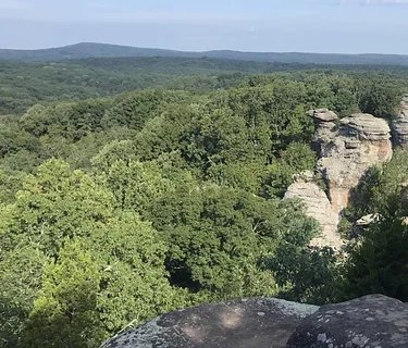 Friends of the Shawnee Forest Annual Celebration