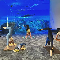 Mote SEA Yoga Flow