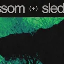 BLOSSOM, Sledges, Nocturne's Kiss, Current Vision