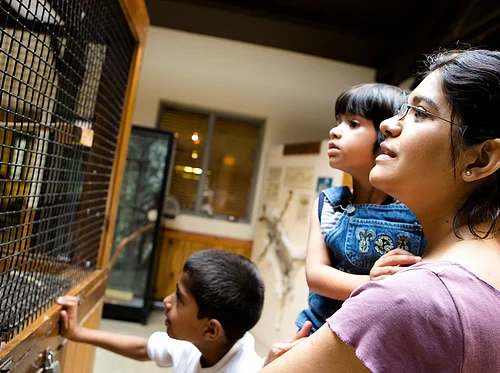 Animal Enrichment Studio