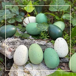 Easter Brunch at The Gardens of Avila