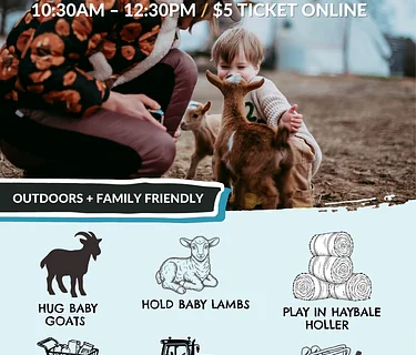 MEET THE GOATS