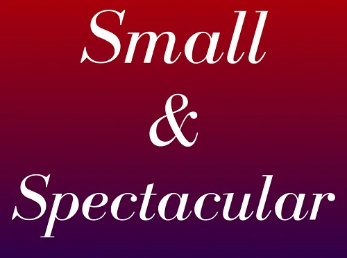 Small & Spectacular – Juried Artist Members