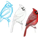 How to Draw Songbirds