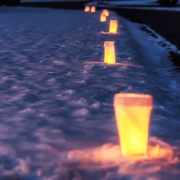 Luminary Walk