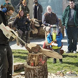 Open Carving Days