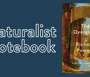 Naturalist Notebook: The Overstory by Richard Powers