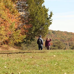 Third Sunday Nature Hike