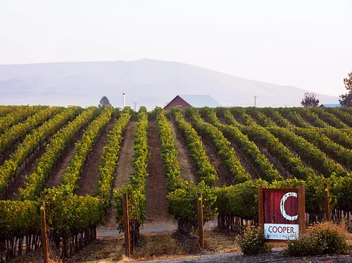 Red Mountain Summer CoopClub Release