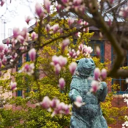 Brown University Public Art Tours