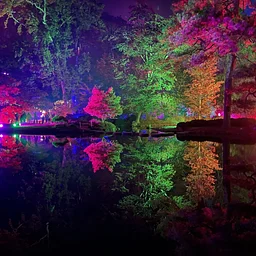 Garden Glow