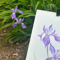 Creative Aging Art Workshop