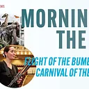 Morning at the Zoo – Flight of the Bumblebee & Carnival of the Animals