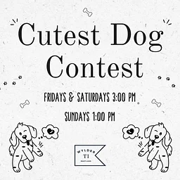 Cutest Dog Contest