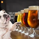 PAW Happy Hour