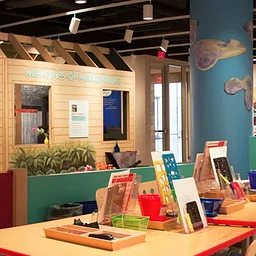 Lewis Family Gallery