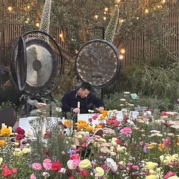 Shinrin-yoku Sound Healing: A Forest Bathing Outdoor Sunset Sound Bath