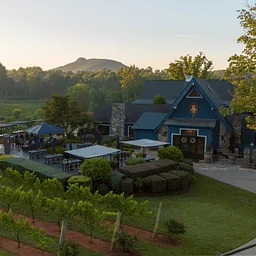 DAY TRIP: JOLO Vineyard Wine Tasting & Lunch