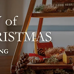 Joy of Christmas Evening Tours