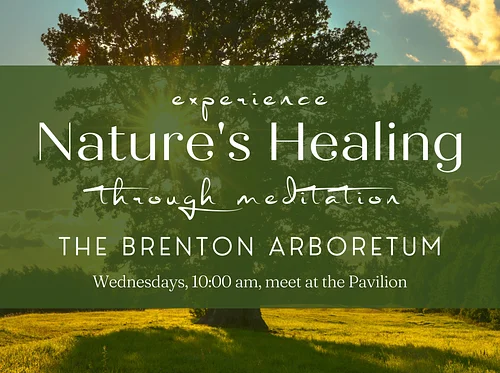 Experience Nature’s Healing: Nature Meditation