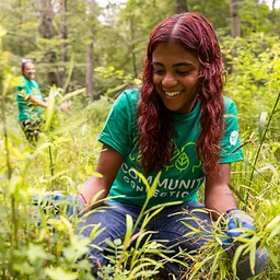 Stewardship Crew (Volunteer with Teatown!)