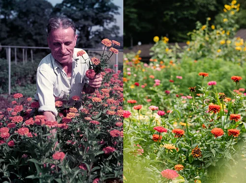 Garden & Estate Insider: The Past and Present Cutting Gardens