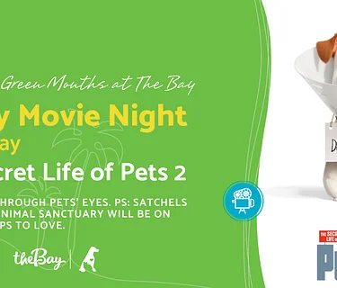 Family Movie Night at The Bay: The Secret Life of Pets 2