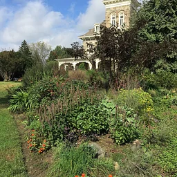 Garden Drop-in