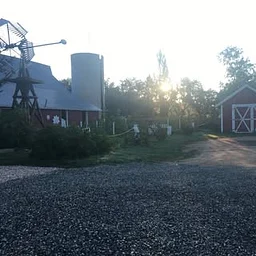 YA YA Farm & Orchard
